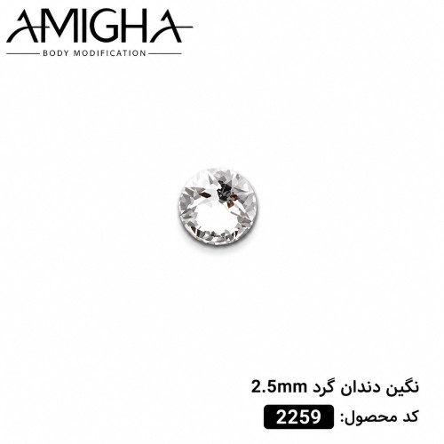 نگین دندان گرد 2.5mm کد 2259