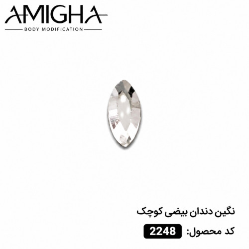 نگین دندان بیضی کوچک کد 2248
