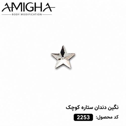 نگین دندان ستاره کوچک کد 2253