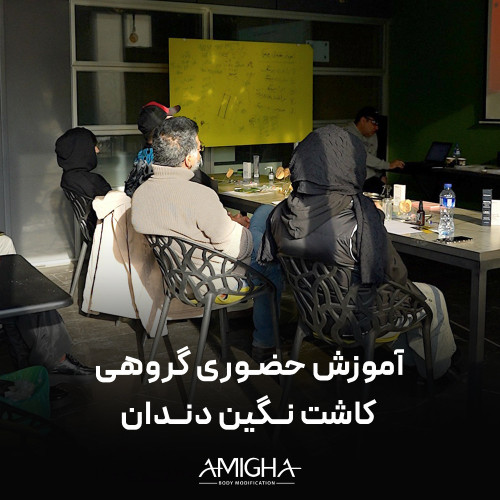 آموزش حضوری - گروهی کاشت نگین دندان