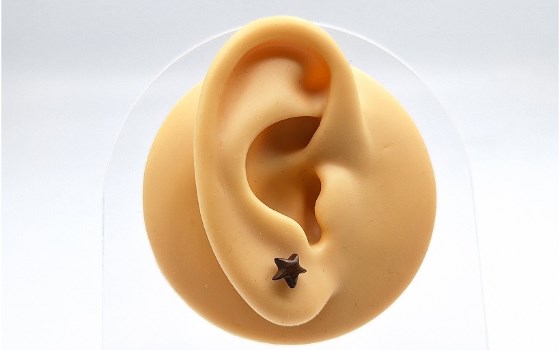 گوشواره ستاره چوبی کد 345