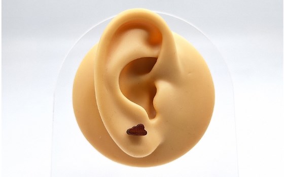 گوشواره ابر چوبی کد 347