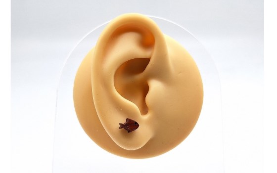 گوشواره ماهی چوبی - کد 349