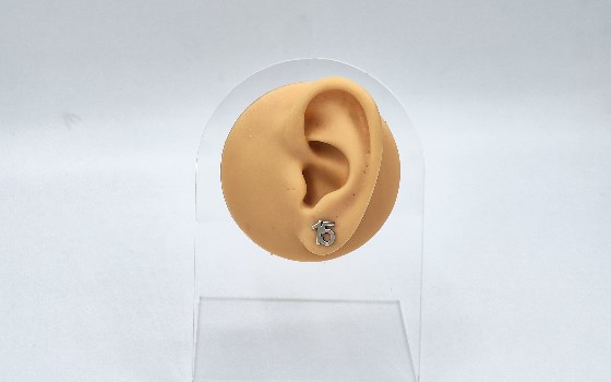 گوشواره نقره اعداد 15