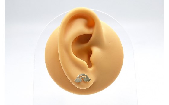 گوشواره نقره رنگین کمان کد 769