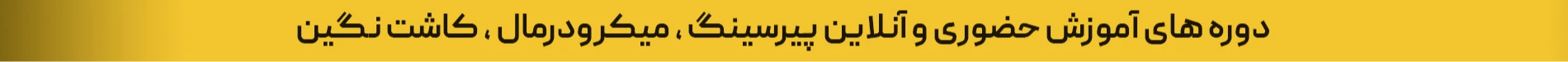 خرید پیرسینگ امیقا